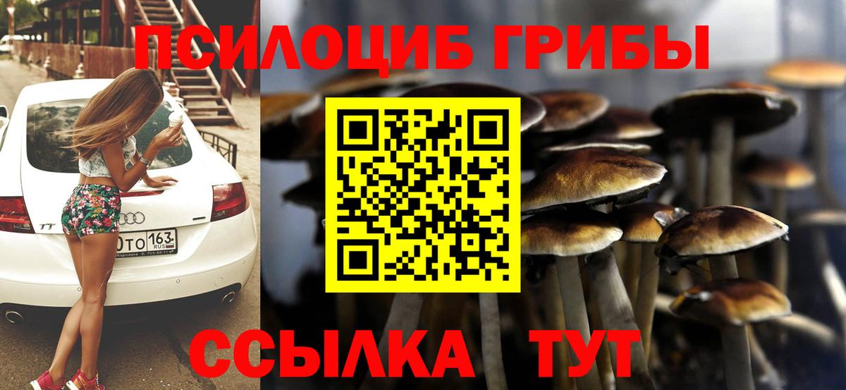 Псилоцибиновые грибы GOLDEN TEACHER Урюпинск